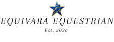 Translation missing: en.Equivara accessibility.home